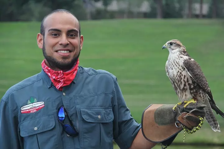 Colorado Springs Hands-On Falconry Class and Demonstration