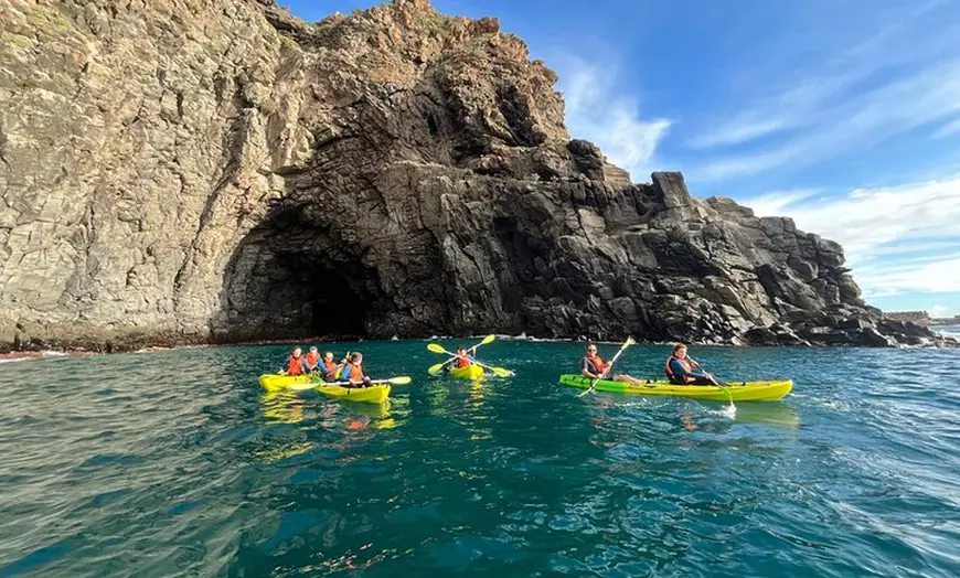 Image 1: Avistamiento de Tortugas y Delfines de Tour de Kayak y Snorkeling
