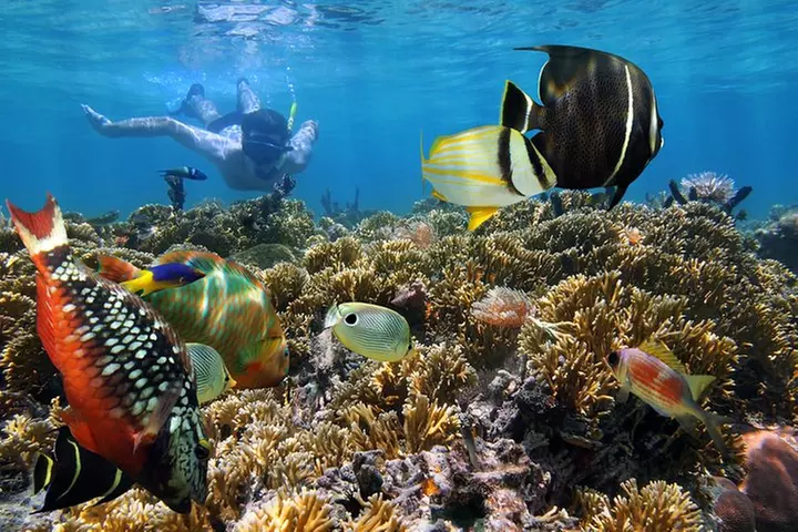 Snorkel Gears near Hanauma Bay