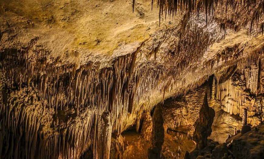 Image 19: Excursión a las Cuevas del Drach y traslado de regreso desde Cala D...