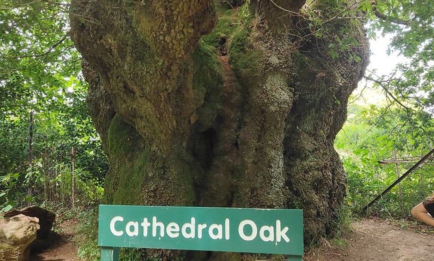 Image 10: Private Wiltshire Mystical & Dragons Driving Tour with Guide