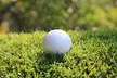 $45 For Green Fees For 2 Including Cart (Reg. $90) - Second Medium