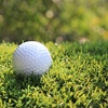 Image 2: $45 For Green Fees For 2 Including Cart (Reg. $90)