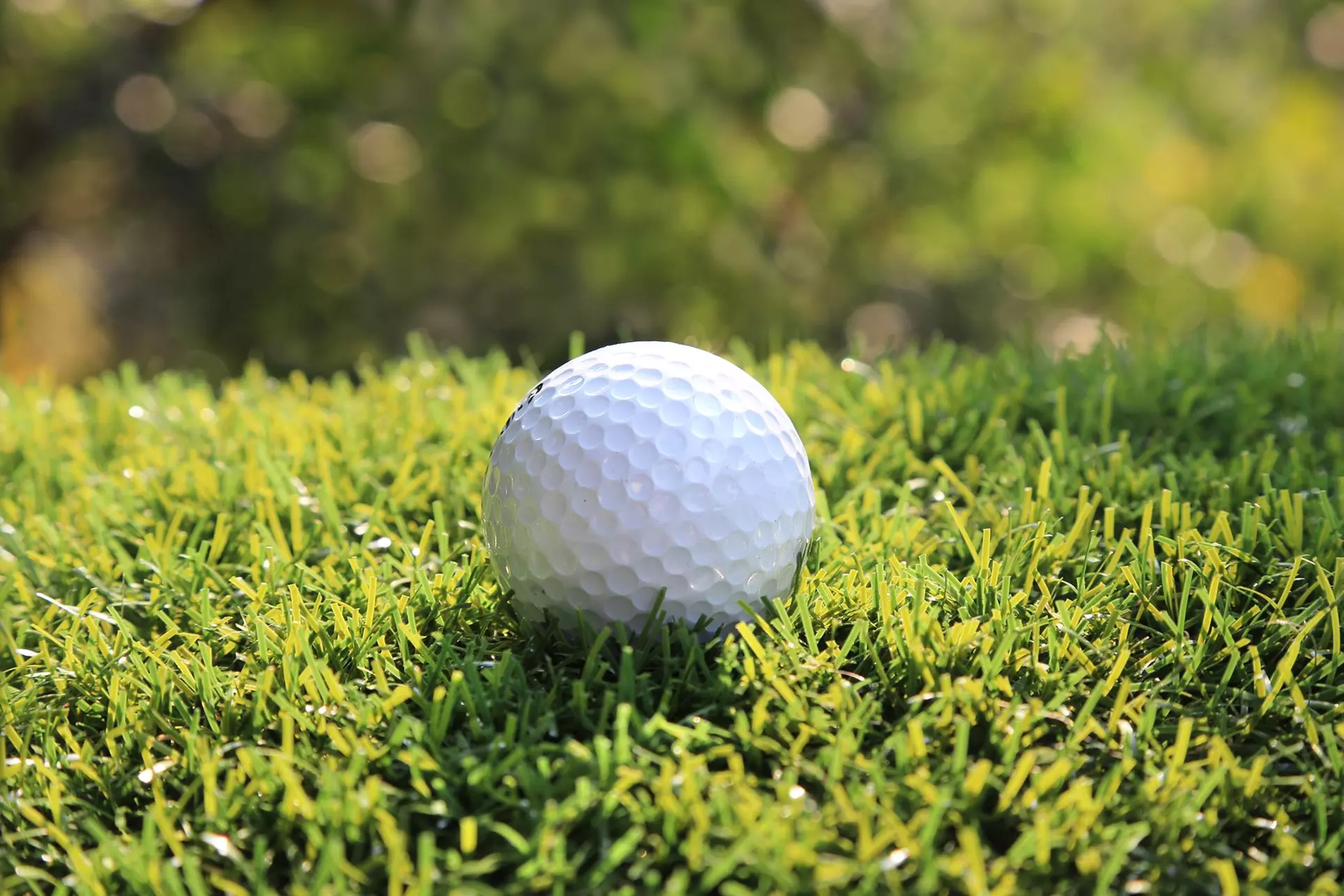 $45 For Green Fees For 2 Including Cart (Reg. $90)