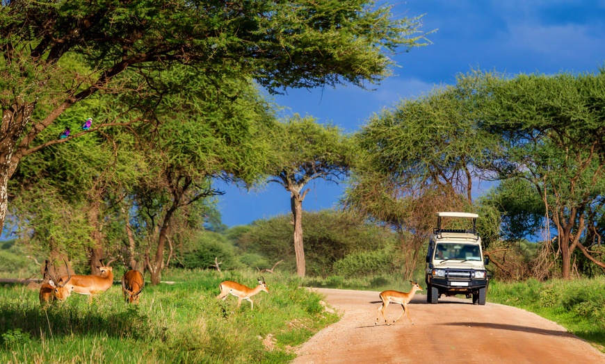 Image 6: ✈ TANZANIE | Du Kilimanjaro à Zanzibar - Les merveilles de la Tanza...