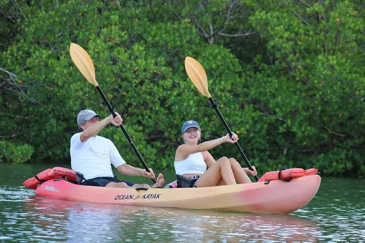Nauti Exposures - Guided kayak tour through the Mangroves - Primary Image