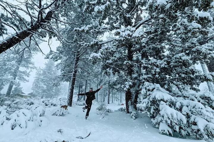 Family-Friendly Nature Hike around the Big Bear Valley