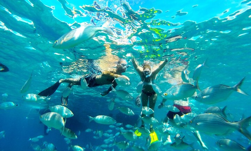 Image 3: Combo Standard Isla de Lobos