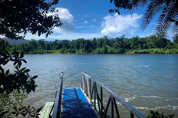 Ultimate Daintree Rainforest Wildlife Experience Cruise