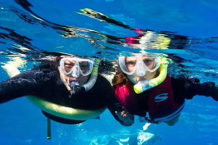 Molokini and Turtle Arches Snorkeling Trip from Ma'alaea Harbor - Second Medium