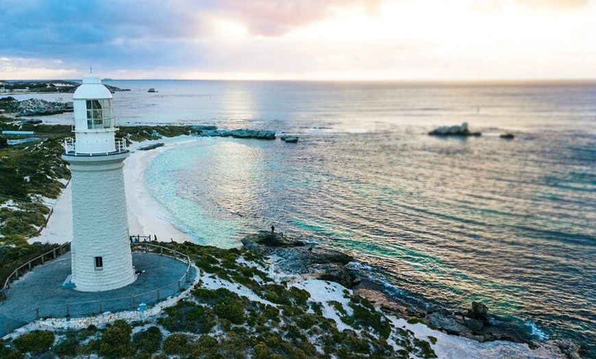 Image 4: Discover Rottnest with Ferry & Bus Tour