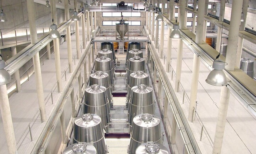 Image 31: Clase magistral de acceso y degustación exclusiva de bodegas secret...