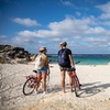 Image 3: Experience Rottnest with Ferry & Bike Hire