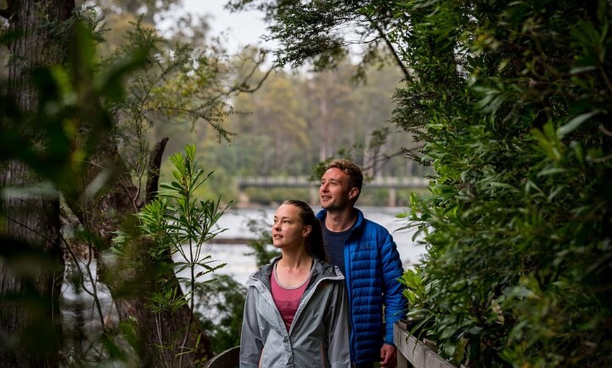 Image 7: Huon Valley Kayaking and Tahune Adventures