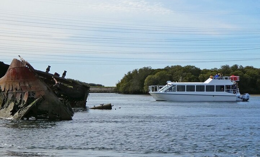 Image 8: 90 Minute Port River Dolphin & Ships Graveyard Cruise