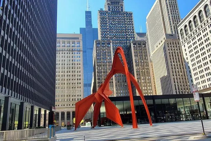 Chicago City Minibus Tour