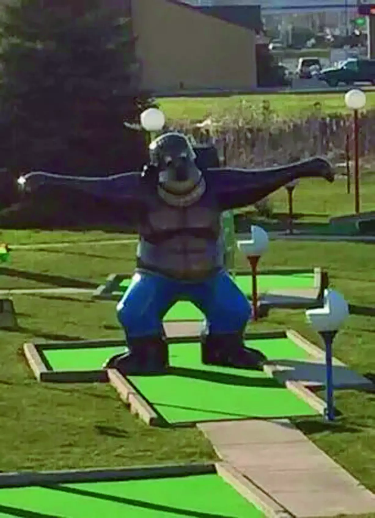 $11 For $22 Toward Driving Range Or Mini Golf - Primary Image