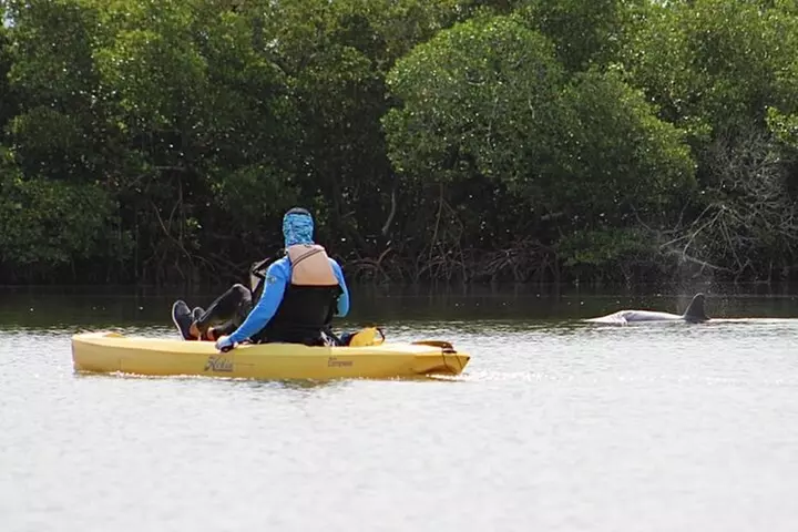 Easy Ride Pedal Kayak Tour Marco Island & Naples (Pedal or Paddle