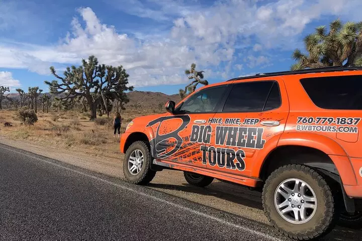 Joshua Tree National Park Driving Tour