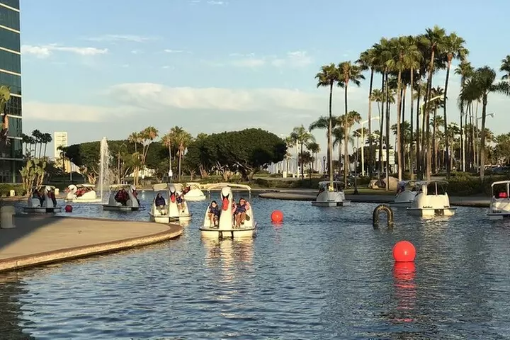Swan Boat Rental at Rainbow Lagoon