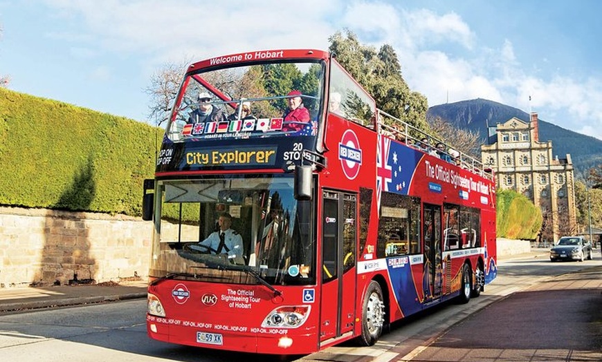 Image 2: kunanyi/Mt Wellington Tour & Hobart Hop-On Hop-Off Bus