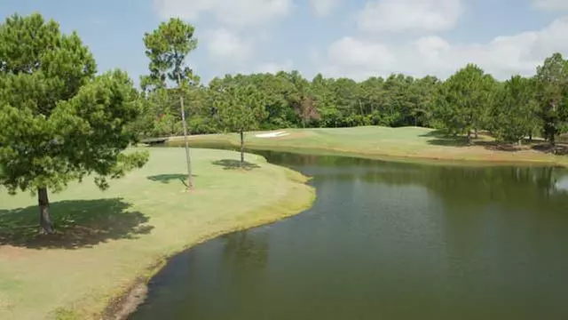 Online Booking - Round of Golf at Sandpiper Bay Golf and Country Club - Primary Image