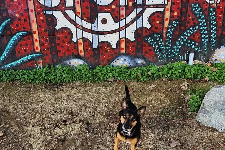 LA River Eco Tour and Secret Stair Hike