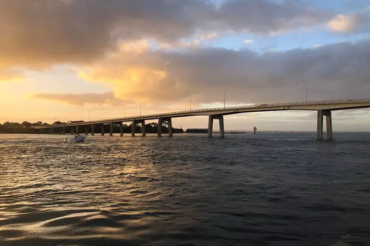 Phillip Island Penguin Parade, Wildlife and Beach Boxes Bus Tour