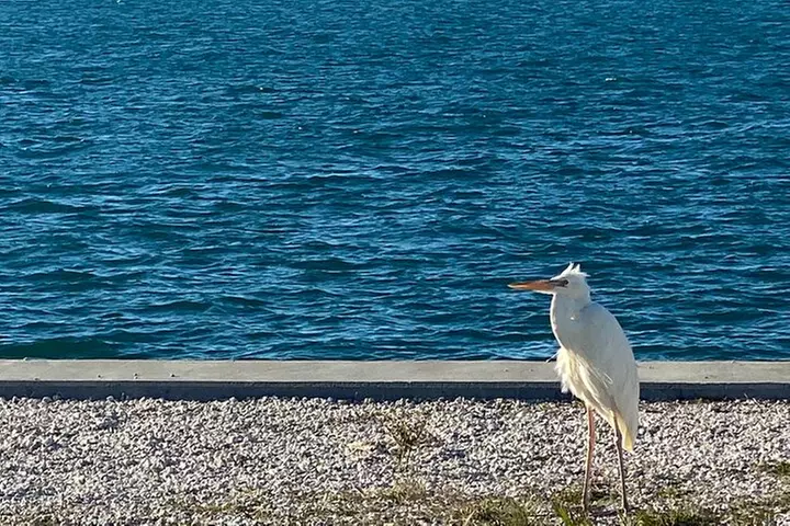 Ft. Lauderdale to Key West Day Trip Quality Day Tours