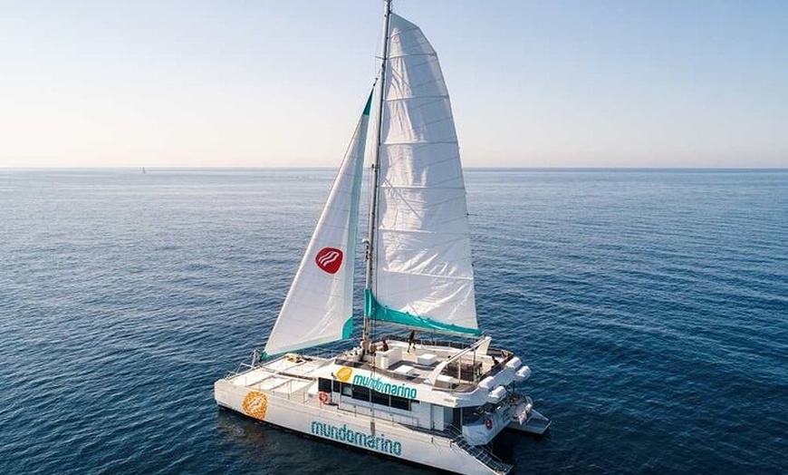 Image 8: Málaga con Catamarán y Mijas pueblo desde Estepona y Marbella