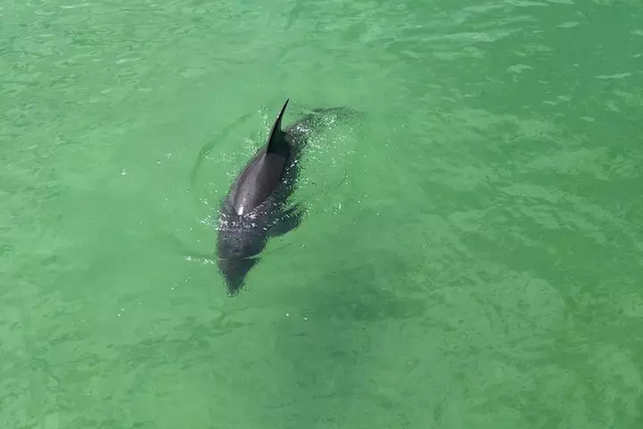 Guided Bike Tour - Downtown Naples Florida