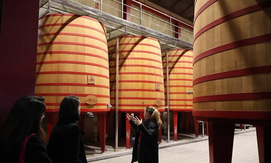 Image 14: Clase magistral de acceso y degustación exclusiva de bodegas secret...