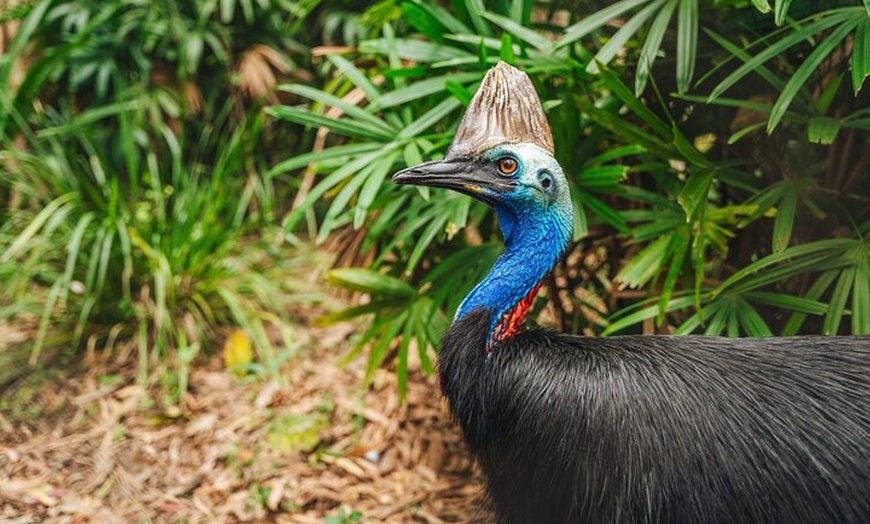 Image 25: 14 Day Tour from Sydney to Cairns Fraser Island and Whitsundays