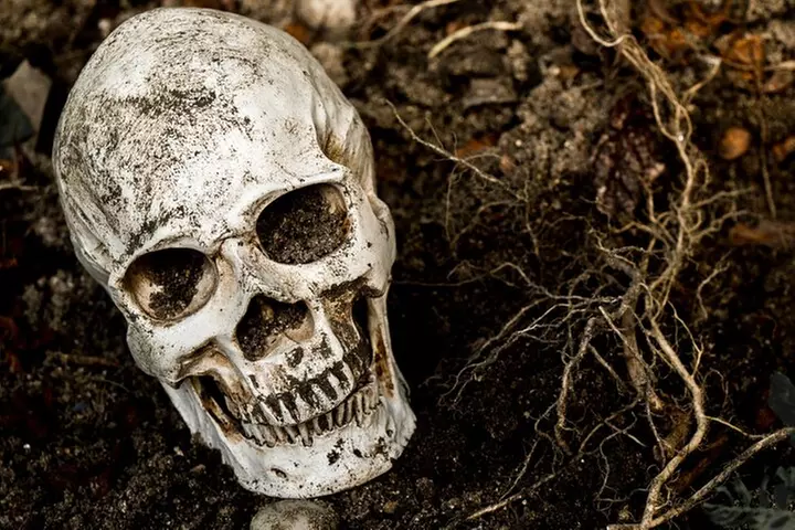 Gettysburg: Ghost Hunt Tour with Ghost Hunting Equipment - Second Medium