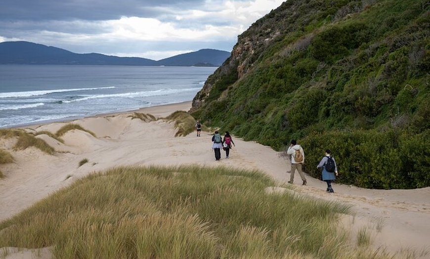 Image 9: Bruny Island Nature and Tasting Active Day Tour