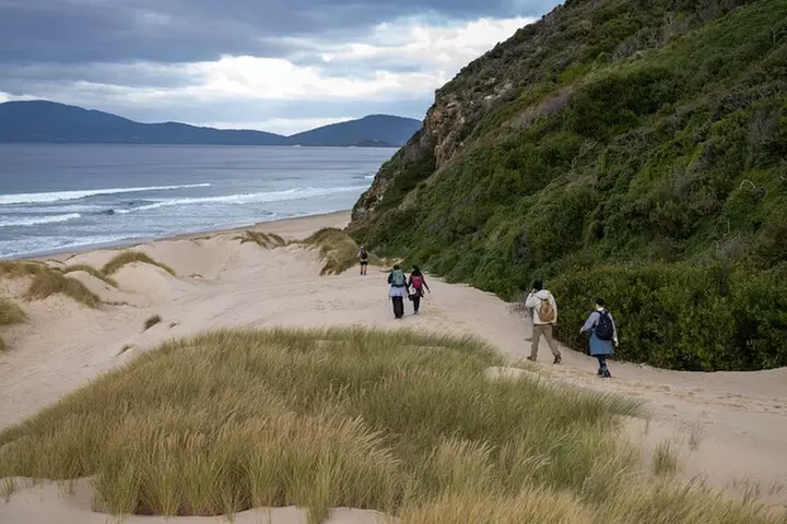 Hobart: Bruny Island Adventure: Hiking, Highlights & Local tastes