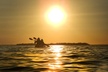 Sunset Bioluminescence Tour - Second Medium