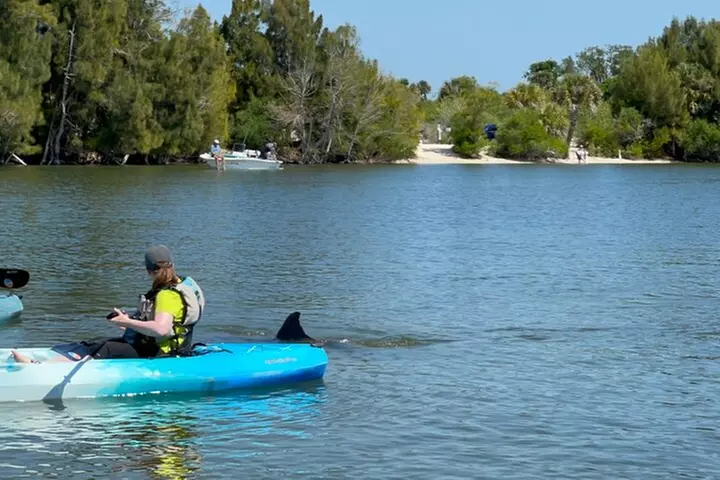 Wildlife Refuge Dolphin, Manatee & Mangrove Kayak or Paddleboarding...