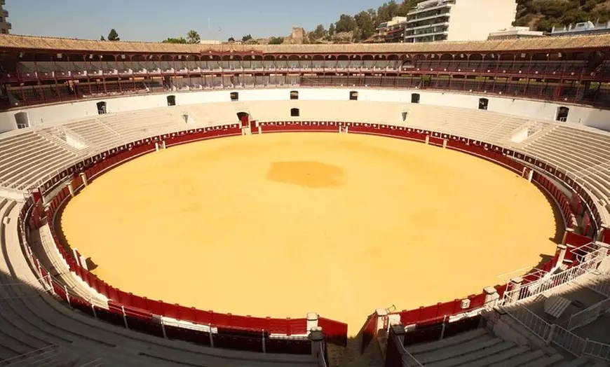 Image 4: Excursión Privada a Ronda desde Málaga y La Costa Del Sol