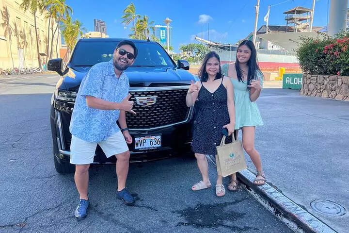 One-Way VIP Transfer: Honolulu Airport, Waikiki, Cruise Port