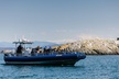 Anacortes Whale Watching Adventure Tour - Zodiac Boat - Second Medium