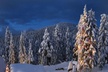 Vancouver Mountain to Mountain (Grouse,Cypress,Mount Seymour) Private - Second Medium
