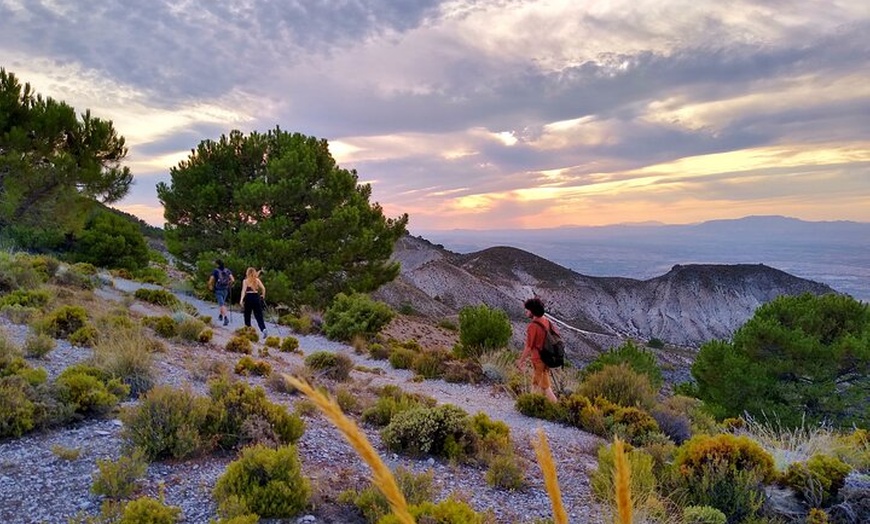 Image 29: NUEVO:Sunset Hike & Summit Sierra Nevada - Tour privado con cachorro