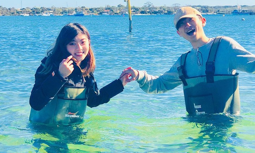 Image 8: Coffin Bay Oyster Farm & Tasting Tour