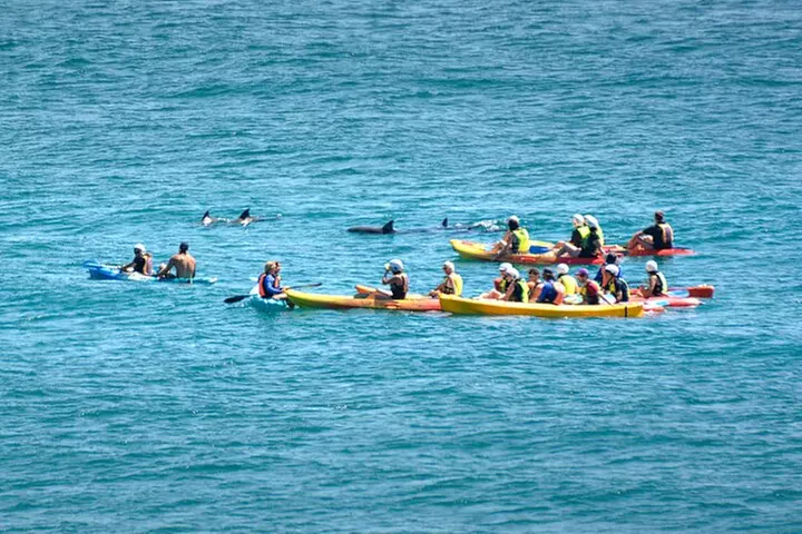 The Byron Bay Sea Kayak Tour