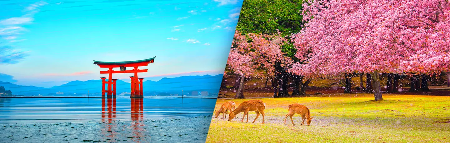 ✈ JAPAN | Von Tokio nach Osaka - Japans unumgängliche Sehenswürdigkeiten 3* - Rundreise - Primary Image