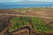 Lahaina: Maui Ku'ia Estate Guided Cacao Farm Tour and Tasting - Second Medium