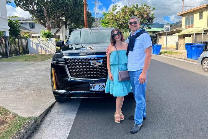 One-Way VIP Transfer: Honolulu Airport, Waikiki, Cruise Port