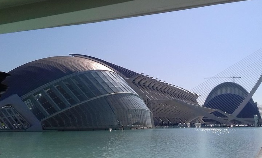 Image 7: La Ciudad de las Artes y las Ciencias en Valencia