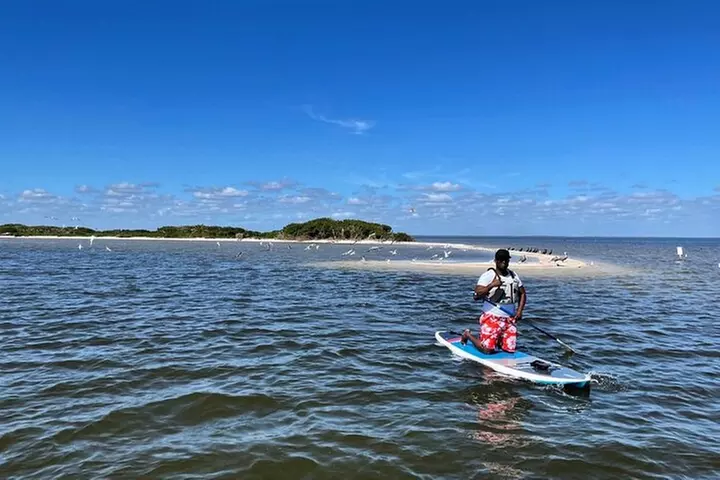 Wildlife Refuge Manatee, Dolphin & Mangrove Kayak or Paddleboarding...